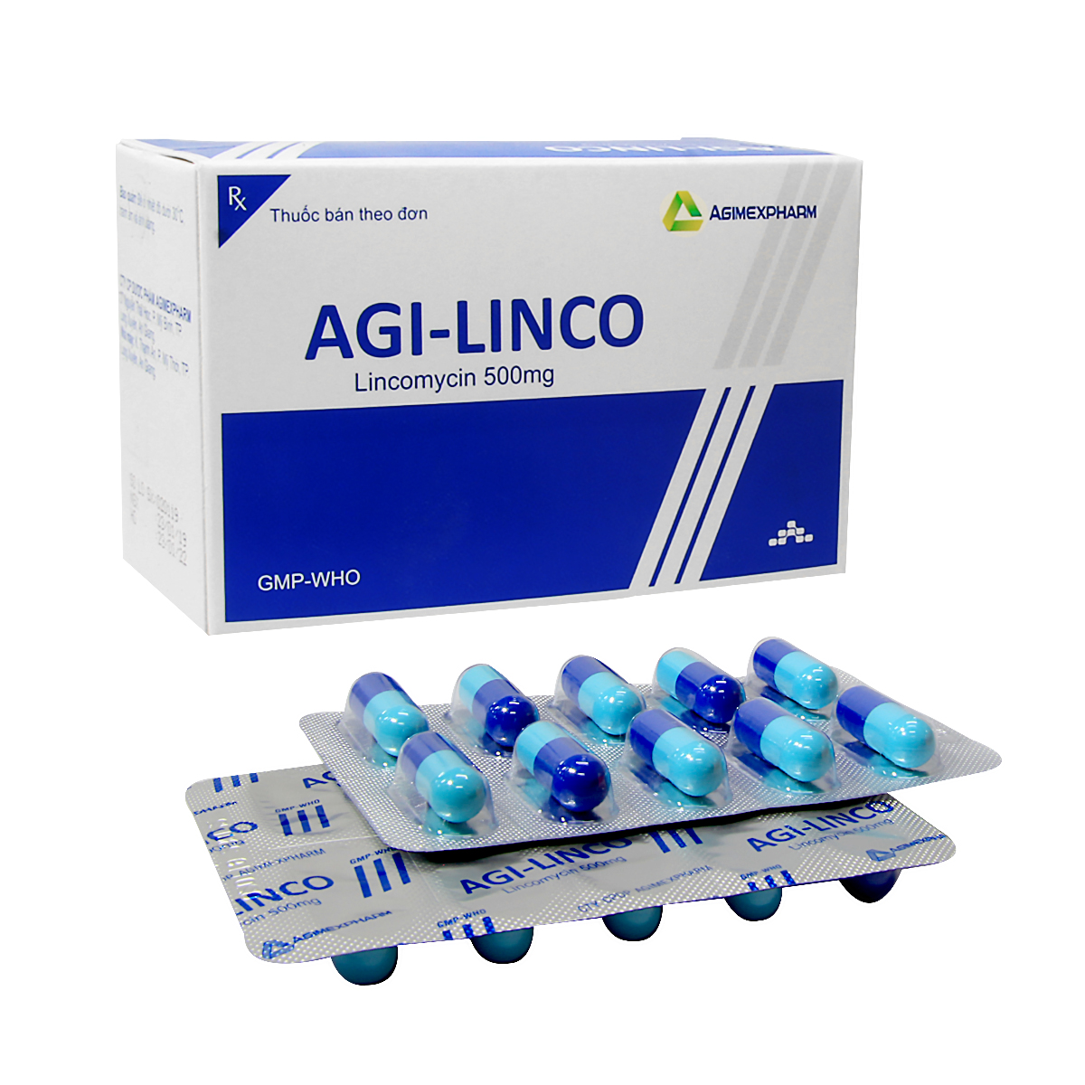 Agi-linco-1.jpg