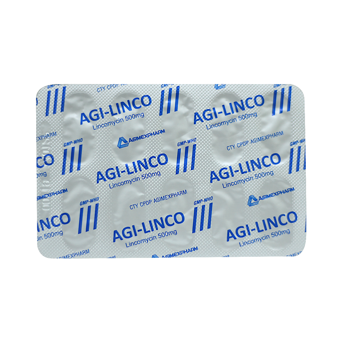Agi-linco-2.jpg