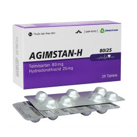 Agimstan-H80-25-1.jpg