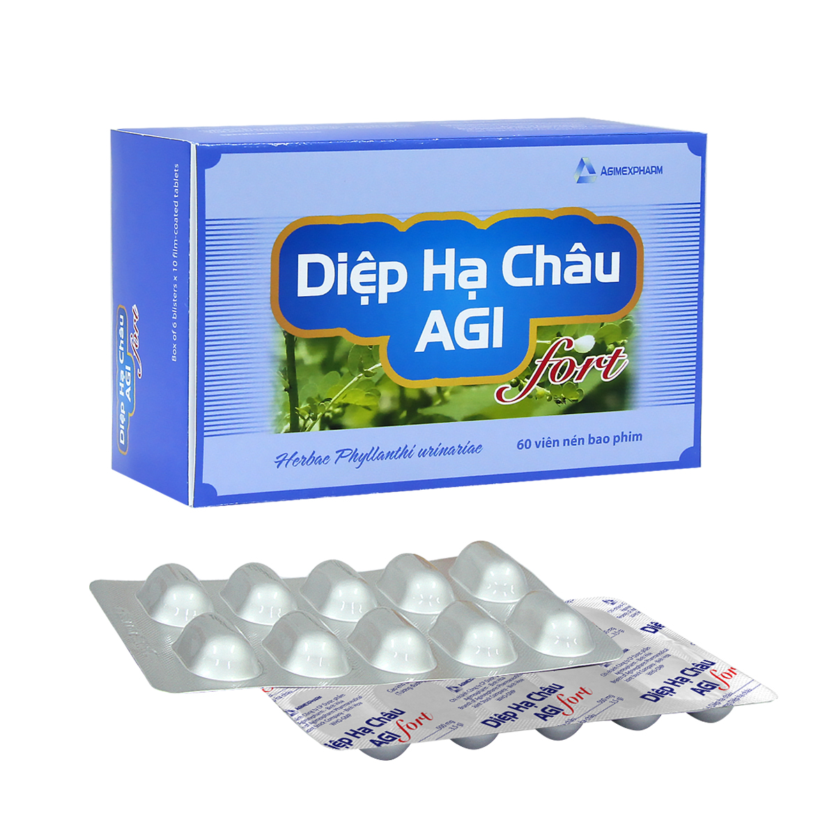 DiepHaChauAgi-Fort-1.jpg