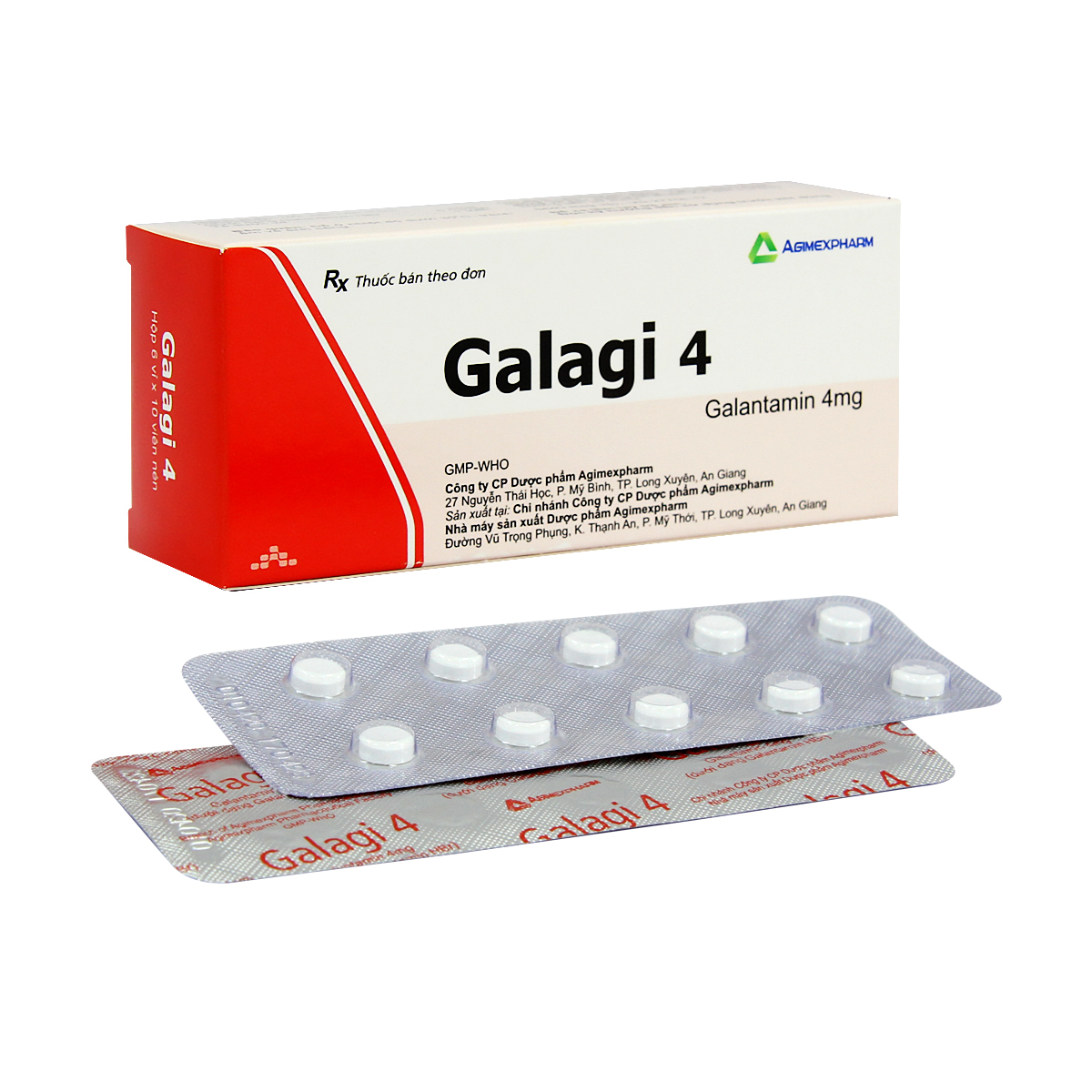 Galagi-4-1.jpg