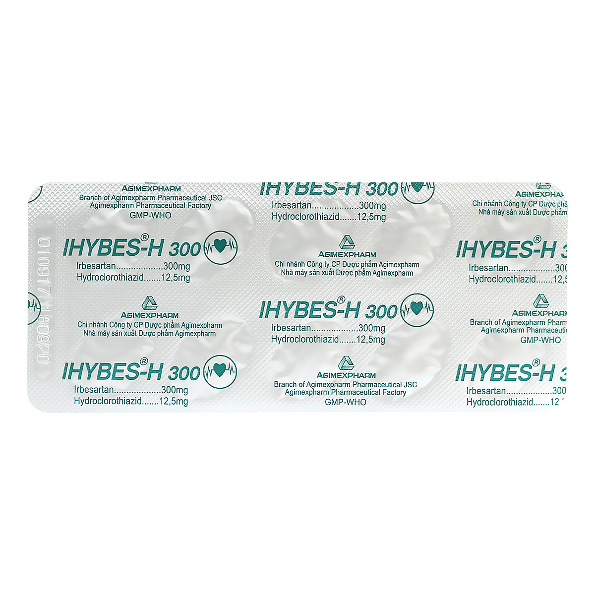Ihybes-H300-3.jpg
