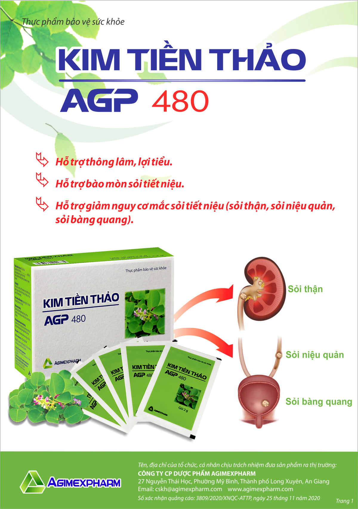 Kim-tien-thao-Goi-1.jpg