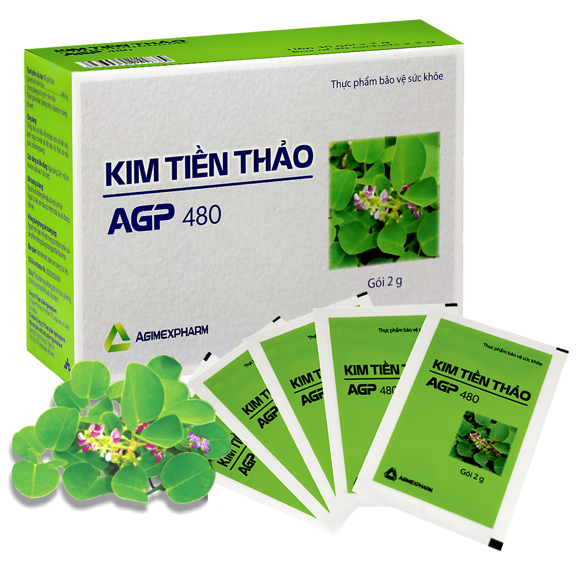 KimTienThao480-3.jpg