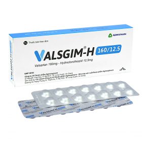 Valsgim-H-160-12.5-1.jpg